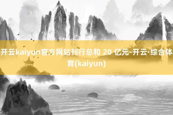 开云kaiyun官方网站刊行总和 20 亿元-开云·综合体育(kaiyun)