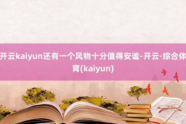 开云kaiyun还有一个风物十分值得安谧-开云·综合体育(kaiyun)