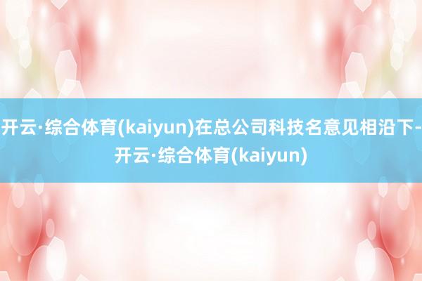 开云·综合体育(kaiyun)在总公司科技名意见相沿下-开云·综合体育(kaiyun)