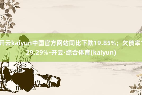 开云kaiyun中国官方网站同比下跌19.85%;欠债率129.29%-开云·综合体育(kaiyun)