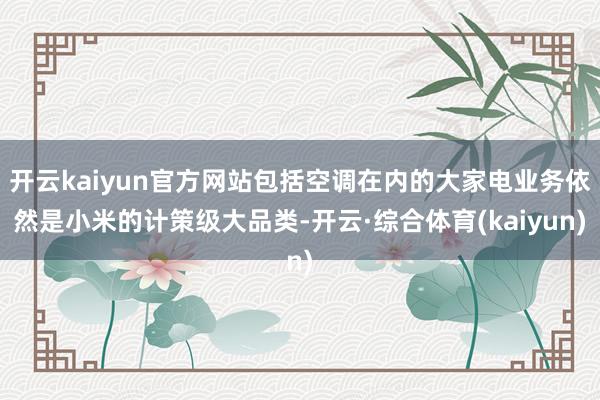 开云kaiyun官方网站包括空调在内的大家电业务依然是小米的计策级大品类-开云·综合体育(kaiyun)