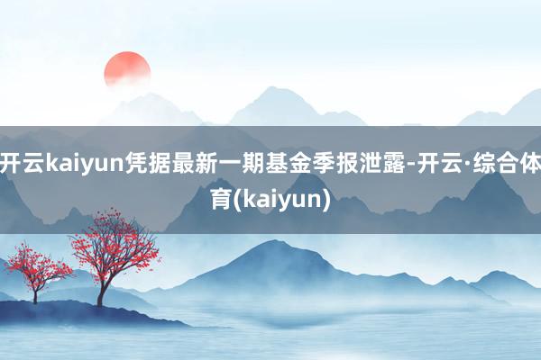开云kaiyun凭据最新一期基金季报泄露-开云·综合体育(kaiyun)