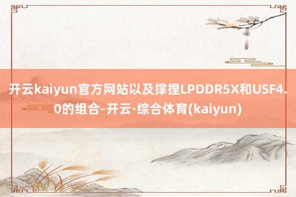 开云kaiyun官方网站以及撑捏LPDDR5X和USF4.0的组合-开云·综合体育(kaiyun)