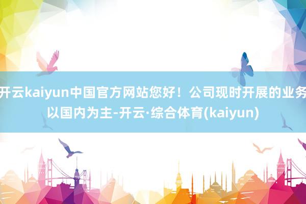 开云kaiyun中国官方网站您好！公司现时开展的业务以国内为主-开云·综合体育(kaiyun)