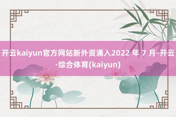 开云kaiyun官方网站新外资涌入2022 年 7 月-开云·综合体育(kaiyun)
