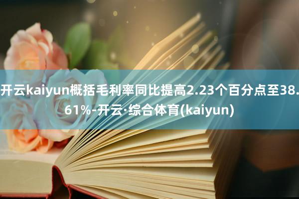 开云kaiyun概括毛利率同比提高2.23个百分点至38.61%-开云·综合体育(kaiyun)